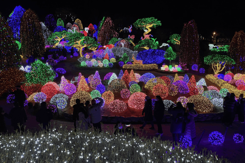From Seoul: Hwacheon Ice Fishing and Lighting Festival Tour - Key Points