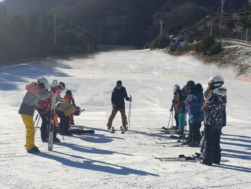 From Seoul: Jisan Ski Resort Serving Breakfast (No Shopping) - Key Points