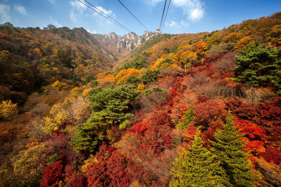 From Seoul: Odaesan or Daedunsan Park Fall Foliage Day Tour - Key Points