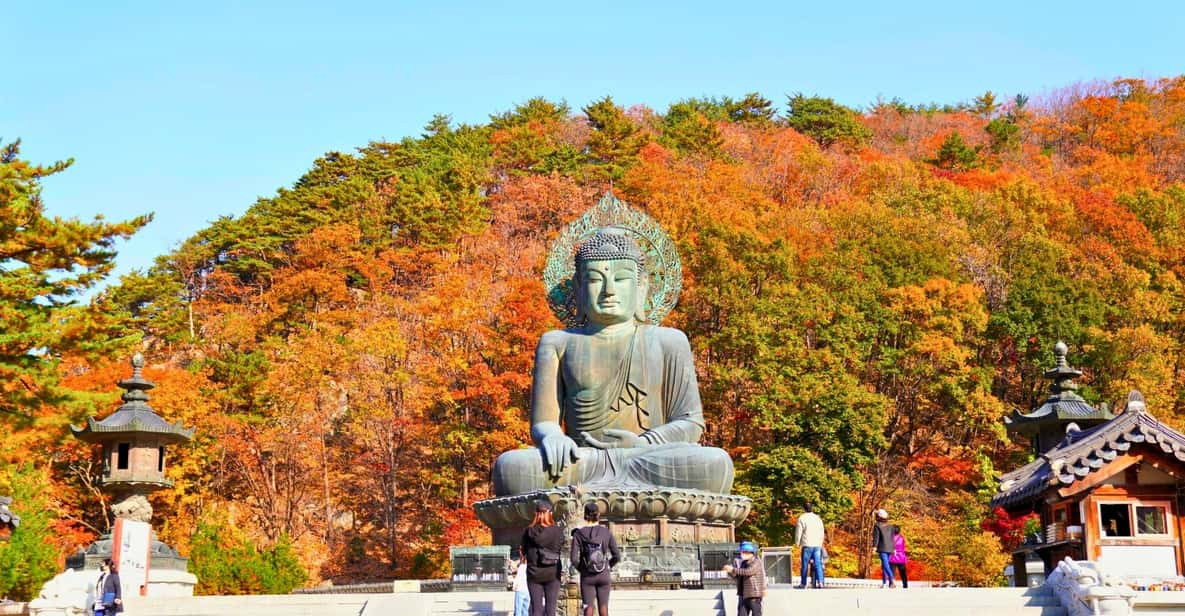 From Seoul: Seoraksan Maple Mountain With Cable Car - Key Points