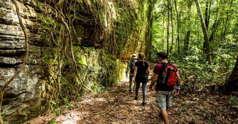 From Siem Reap: Phnom Kulen National Park Trekking Tour - Tour Overview and Pricing