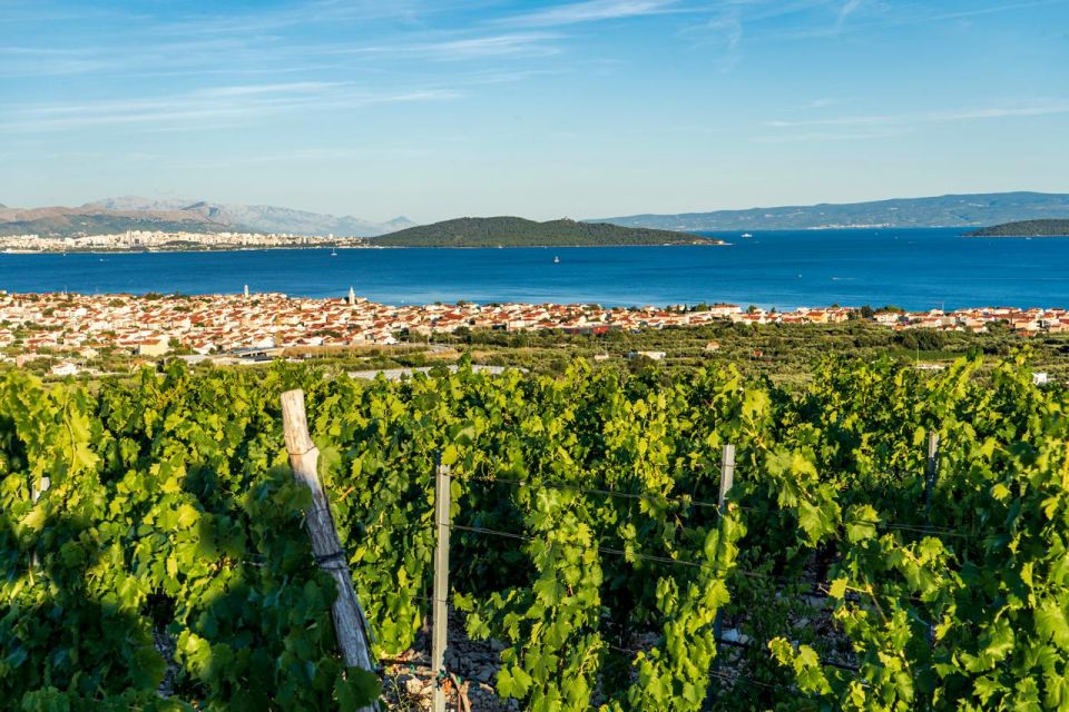 From Split: Vineyard Wine Tasting Experience With a Sea View - Good To Know