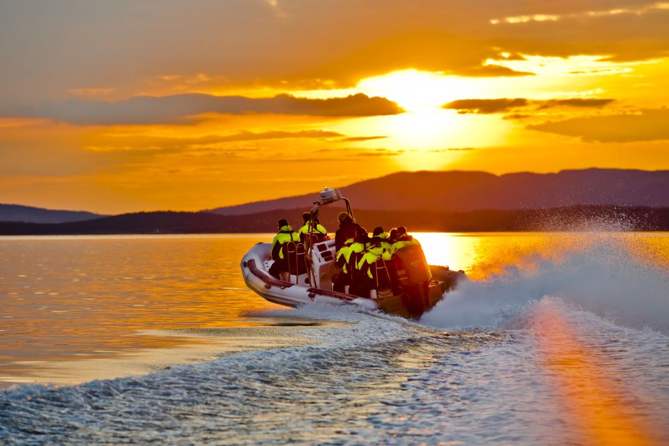 From Stavanger: RIB Tour to Lysefjord - Good To Know