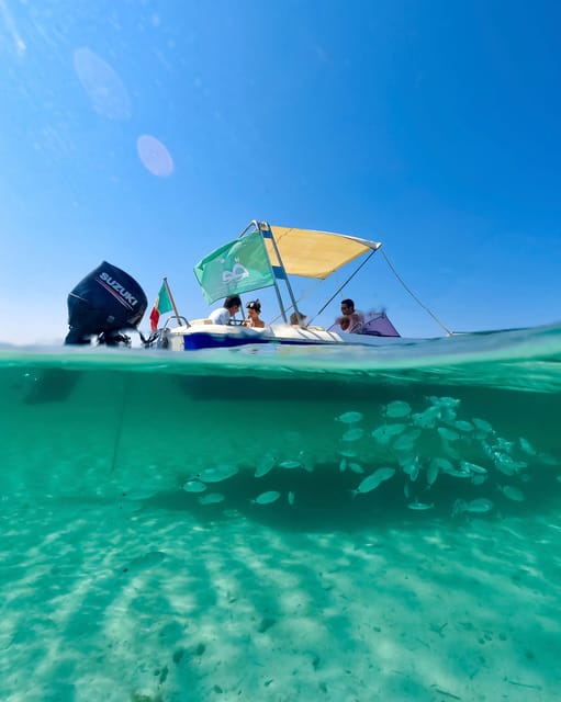 From Stintino: Half-Day Speedboat Tour to Asinara - Key Points