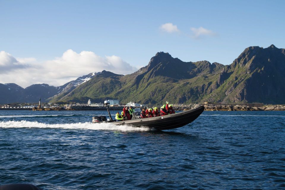 From Svolvær: RIB Sea Eagle Safari Trollfjord Cruise - Good To Know