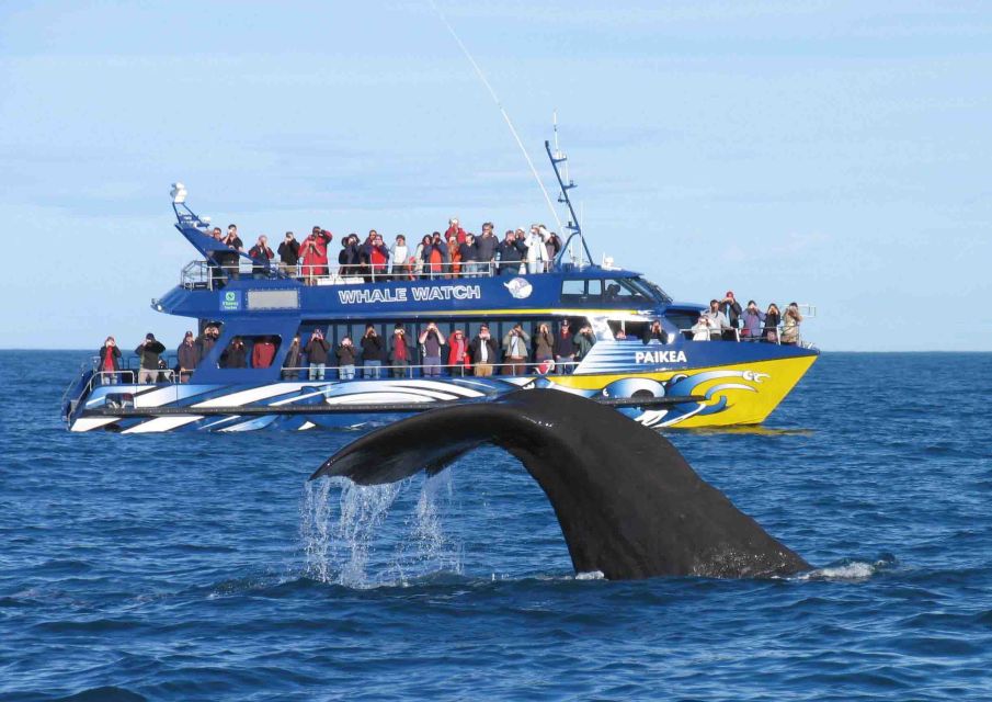 From Tangalle: Mirissa Whale Watching Tour With Breakfast - Good To Know