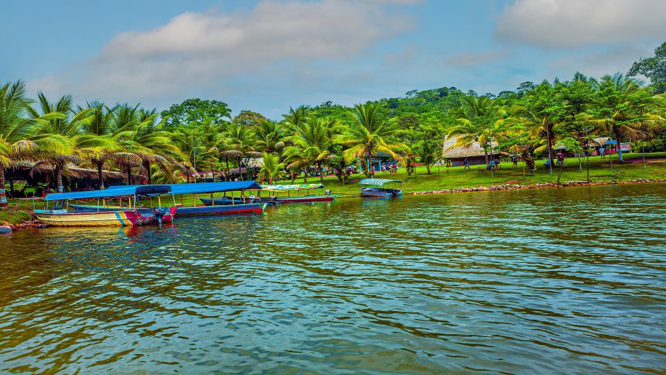 From Tarapoto: Blue Lagoon Full Day Tour With Lunch - Key Points