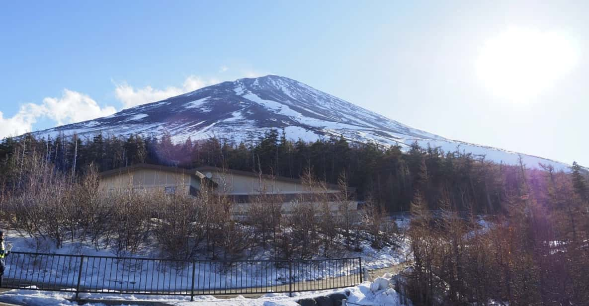 From Tokoyo - Mount FUJI Classic Highlight Joiner Day Tour - Shopping at Gotemba Outlets