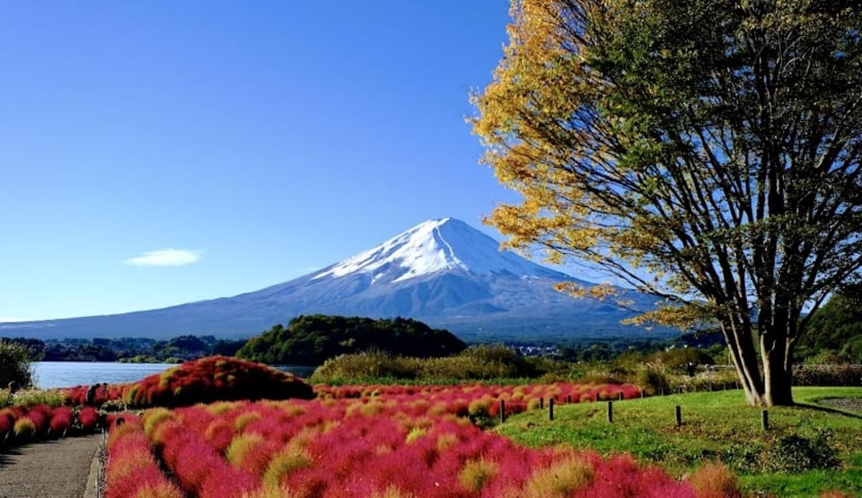 From Tokyo: Hakone 1 Day Private Tour With English Driver - Key Points