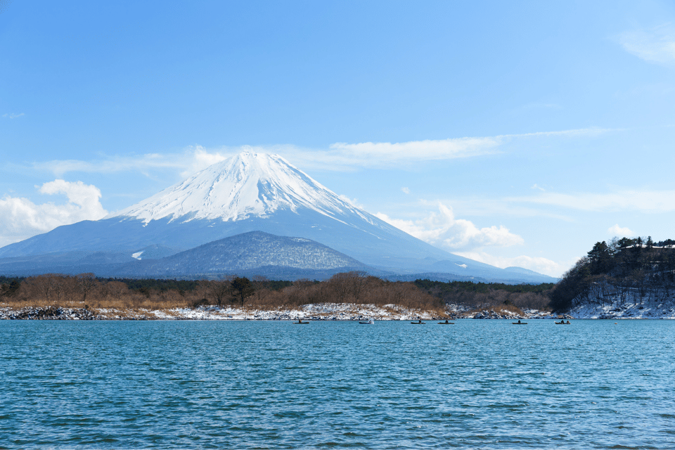 From Tokyo: Mount Fuji and Fuji 5 Lakes Private Guided Tour - Key Points