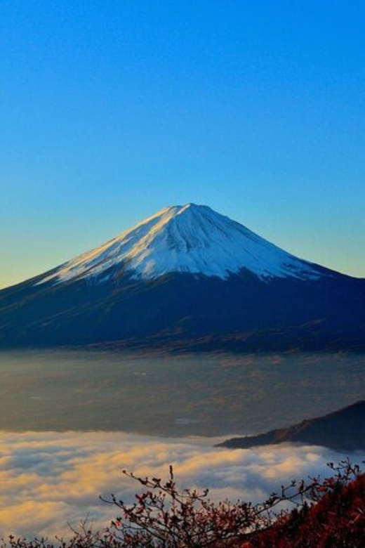 From Tokyo: Mount Fuji Day Trip By English Speaking Driver - Customer Reviews and Ratings