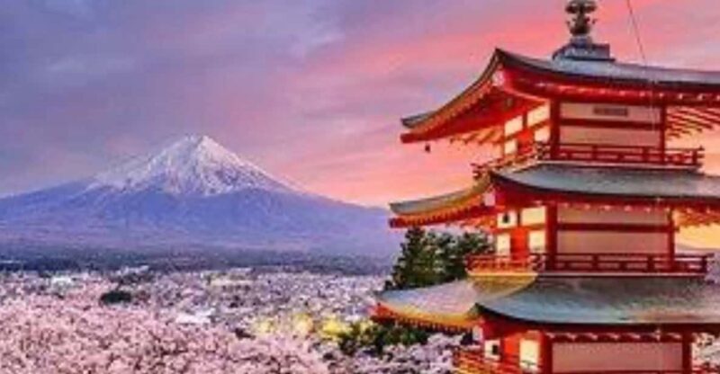 From Tokyo: Mount Fuji Private Day Trip - Customizable Itinerary Options