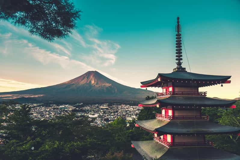 From Tokyo: Mt. Fuji or Hakone Private Sightseeing Day Trip - Overview and Pricing