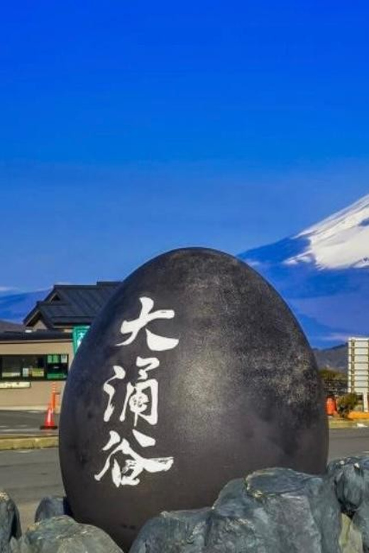 From Tokyo: Mt. Fuji or Hakone Private Sightseeing Day Trip - Trip Overview and Pricing