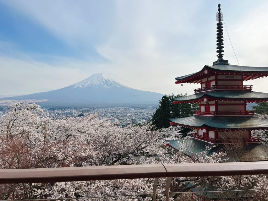 From Tokyo: Mt. Fuji Private Car Day Trip With Guide - Key Points