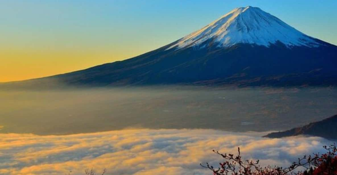 From Tokyo: Mt Fuji Private Day Tour In Land Cruiser ZX - Key Points