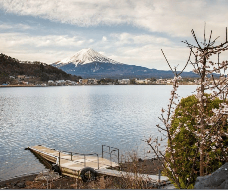 From Tokyo: Mt Fuji Private Day Tour In Luxury Land Cruiser - Itinerary Highlights