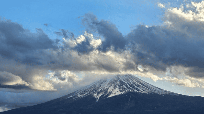 From Tokyo Mt Fuji Trip With English Speaking Driver 23 Ward - Transportation and Amenities