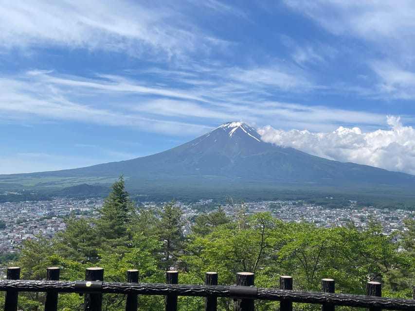 From Tokyo: Private Mt. Fuji Tour With Guide - Overview of the Private Tour