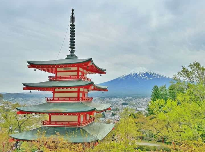 From Tokyo:Mount Fuji Customize Day Tour With English Driver - Tour Overview and Pricing