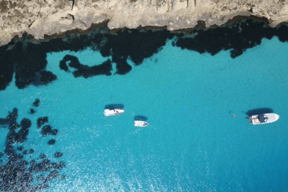 From Trapani: Favignana & Levanzo Private Boat Trip - Key Points