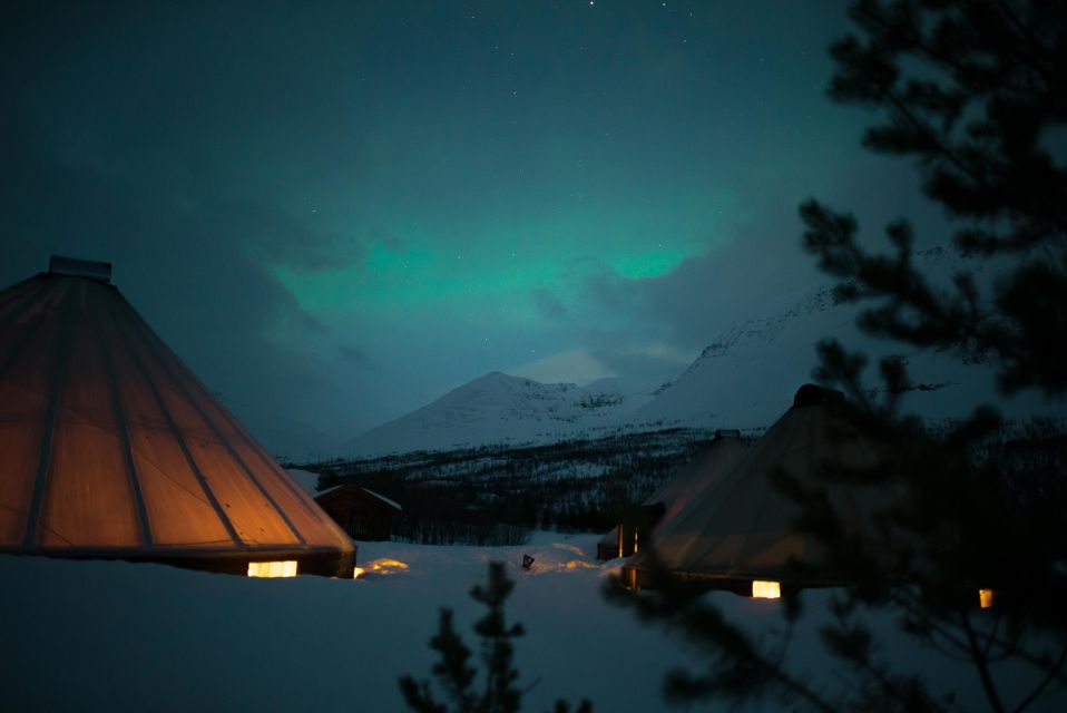 From Tromsø: Evening Snowmobiling Tour at Camp Tamok - Good To Know