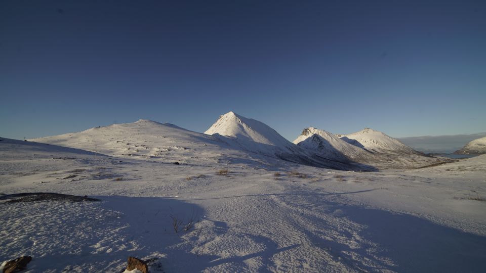 From Tromsø: Fjords Small Group Bus Tour - Good To Know