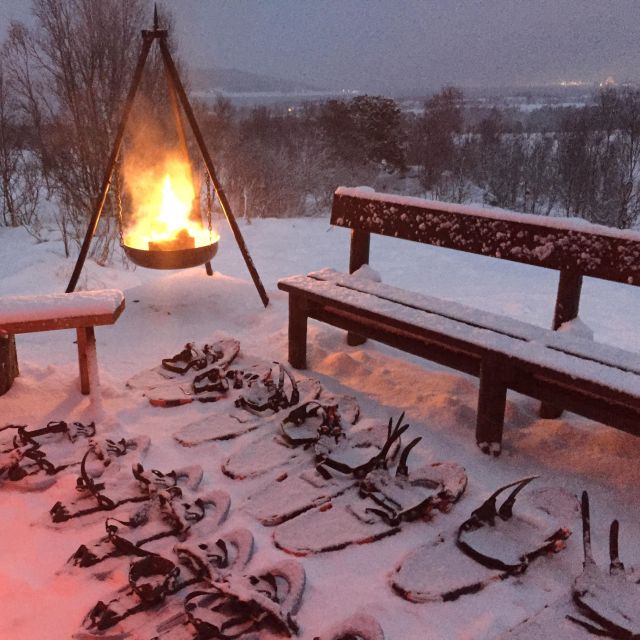 From Tromsø: Guided Husky Snowshoe Hike and Husky Camp Visit - Good To Know