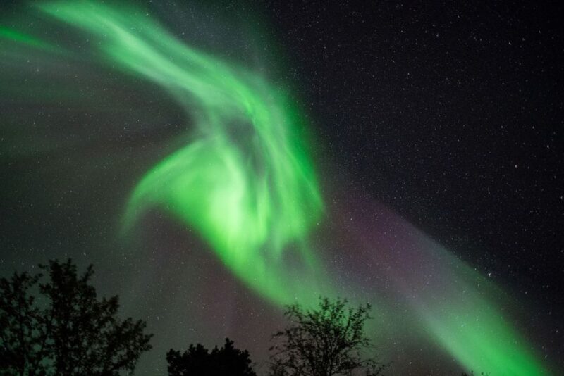 From Tromsø: Northern Lights Chase by Boat - Good To Know