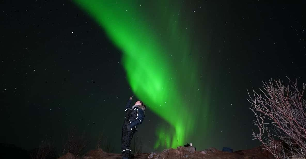 From Tromsø: Northern Lights Tour With Hot Drinks and Photos - Good To Know