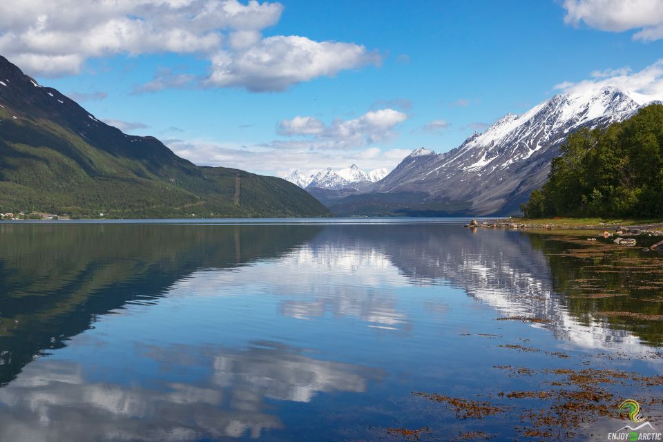 From Tromso: Norwegian Fjords Half-Day Tour - Good To Know