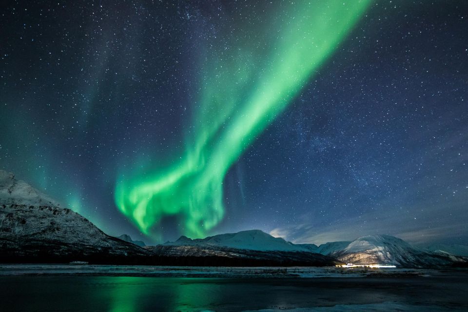 From Tromsø: Overnight Northern Lights & Whale Watching Tour - Good To Know