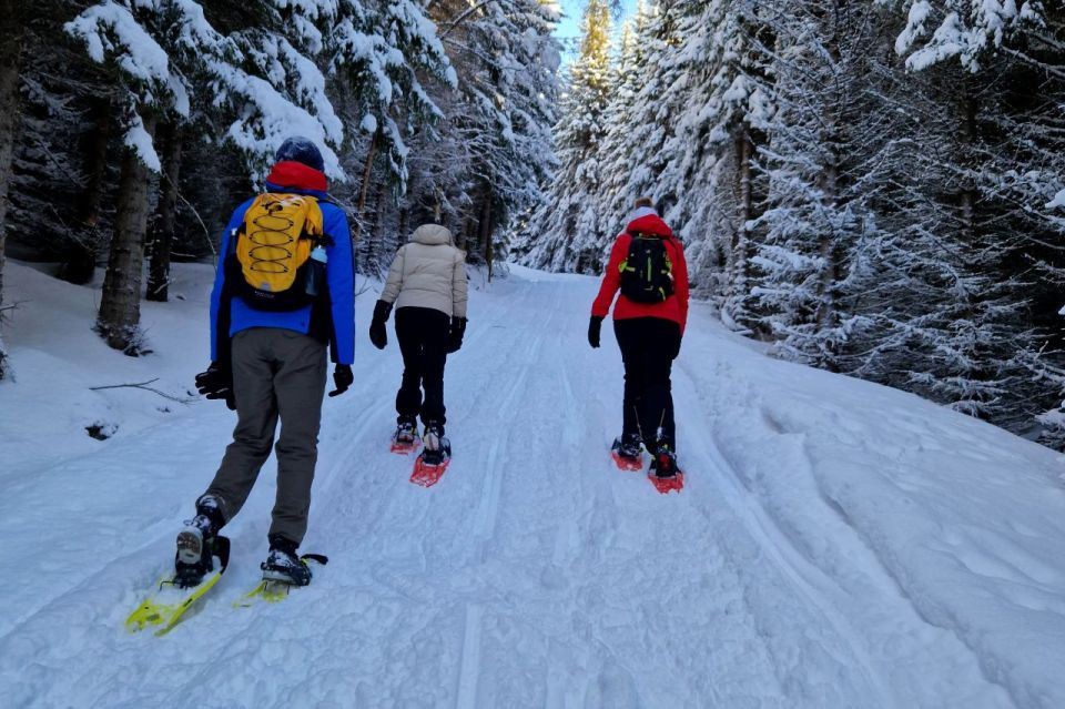 From Tromsø: Snowshoe Hike in the Arctic - Good To Know