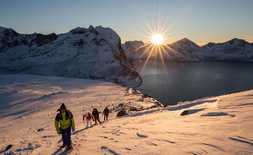 From Tromsø: Snowshoeing Hike With Picnic Lunch and Photos - Good To Know