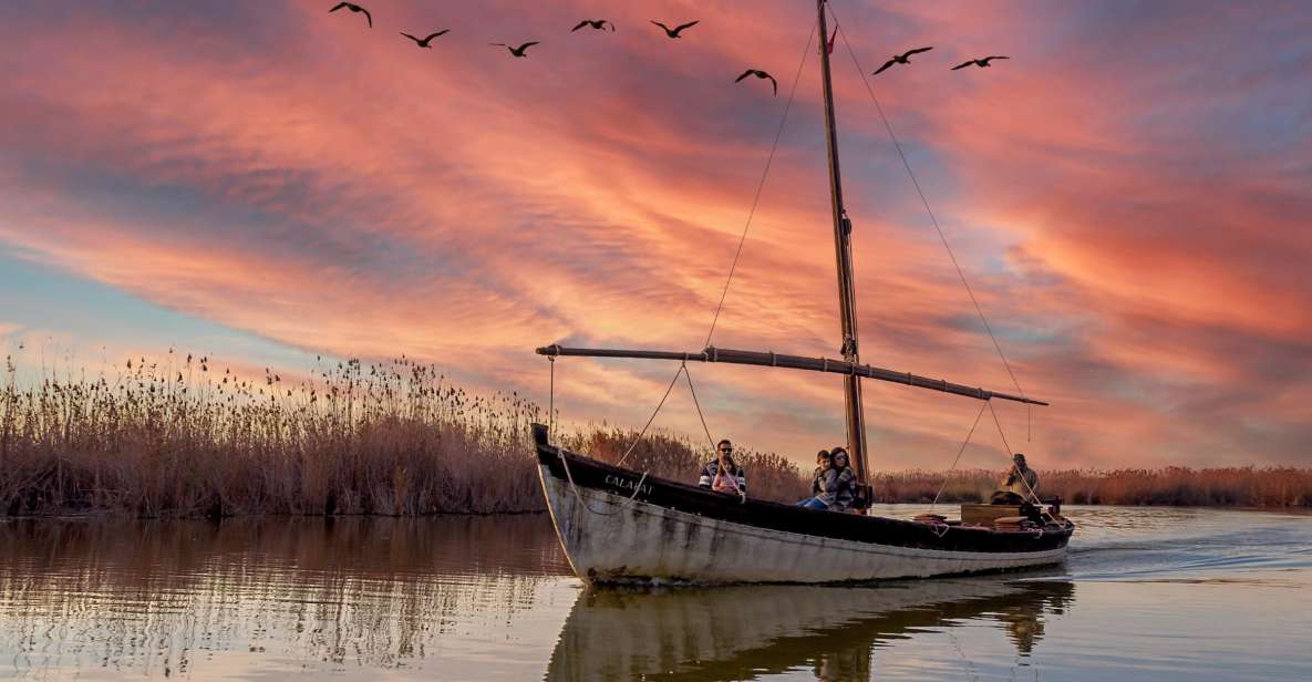 From Valencia: Private Albufera Van Tour With Boat Ride - Key Points