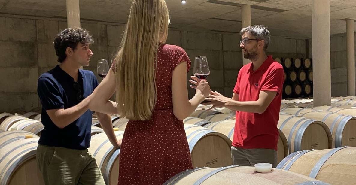 From Valencia: Requena Wine Tour With Tastings - Key Points