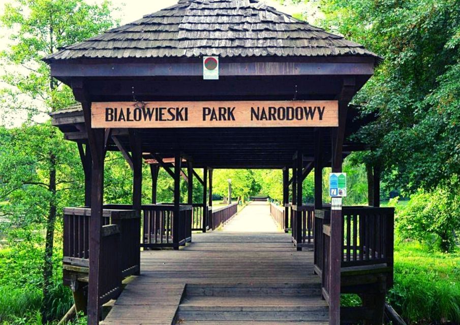 From Warsaw: Small-Group Tour to Bialowieza National Park - Good To Know