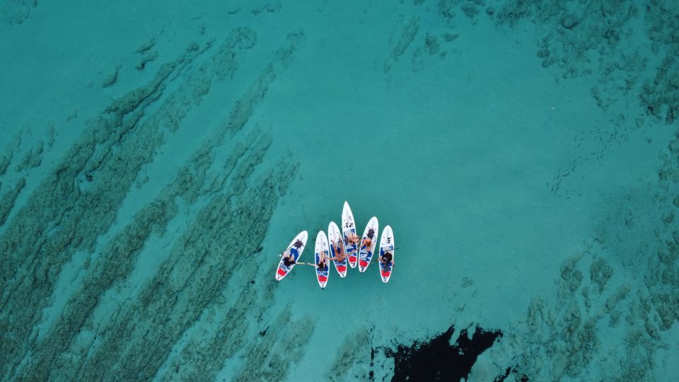 From Zadar: Full Day Dugi Otok Guided Paddle Board Tour - Good To Know