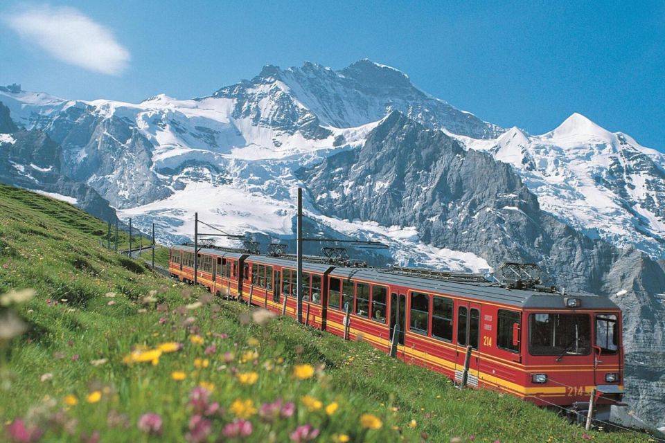 From Zurich: Jungfraujoch Guided Day Tour With Cogway Train - Overview of the Tour