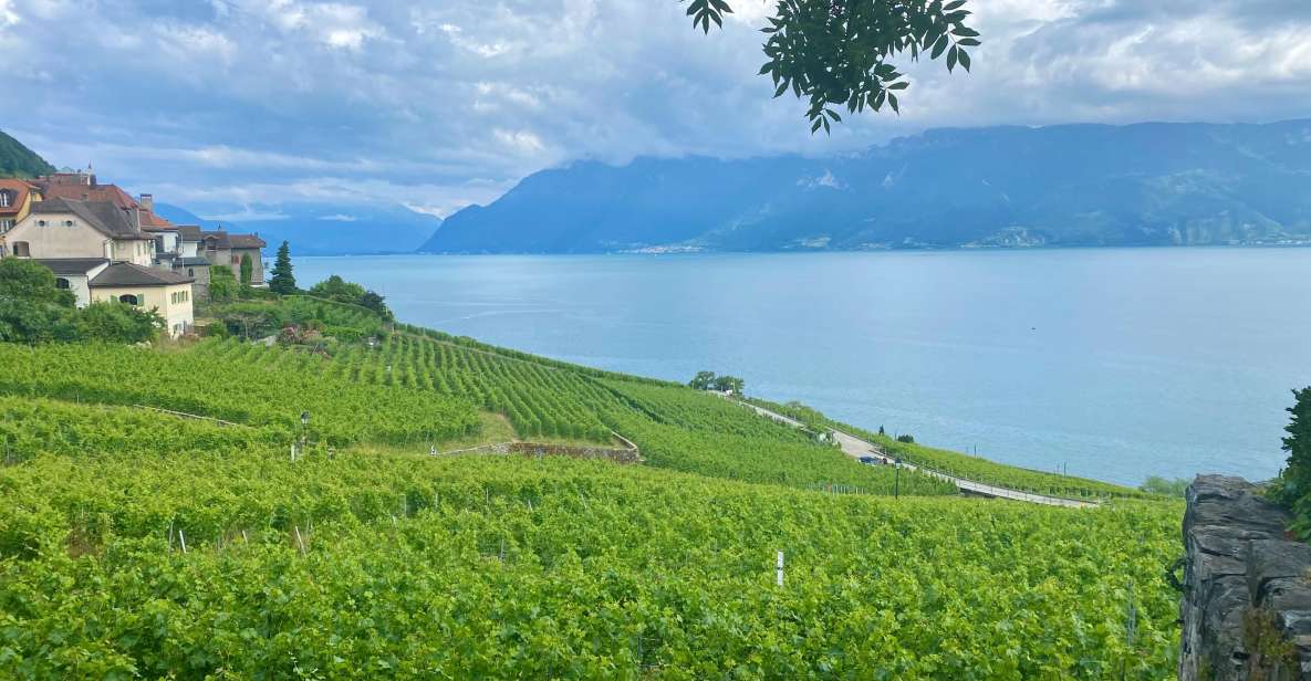 From Zurich: Private Day Trip to Gruyères & Lavaux Vineyard - Good To Know