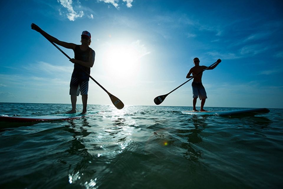 Fuerteventura: 1.5-Hour SUP Course - Caleta De Fuste - Key Points