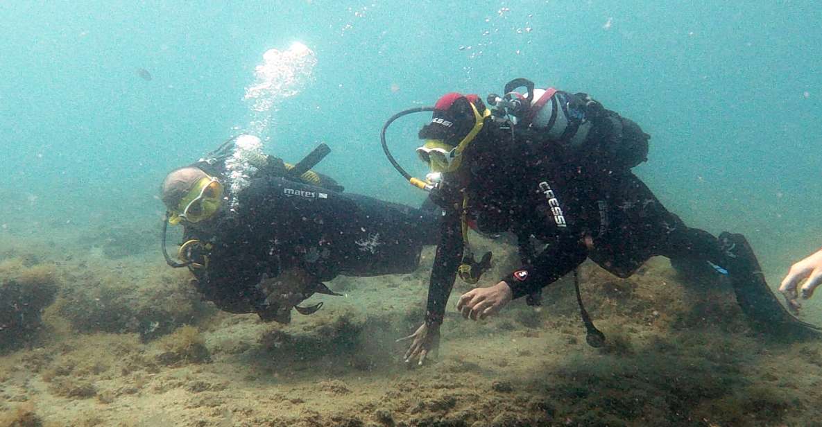 Fuerteventura : Discover Scuba Diving - Key Points