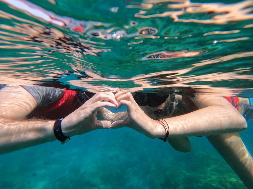 Fuerteventura: Guided Snorkeling in La Lajita With Pickup - Key Points