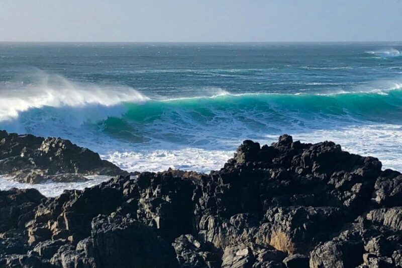 Fuerteventura North Full-Day Tour - Key Points