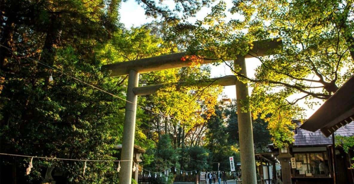 Fukuoka Takachilo Gorge Amanoyasugawara Shrines One Day Tour - Tour Overview and Pricing