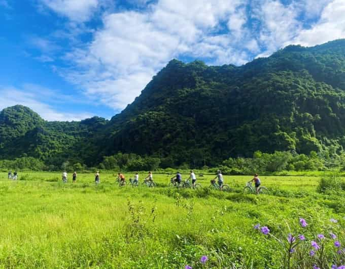 Full-Day Boat Tour to Lan Ha Bay With Lunch, Kayaking-Biking - Key Points