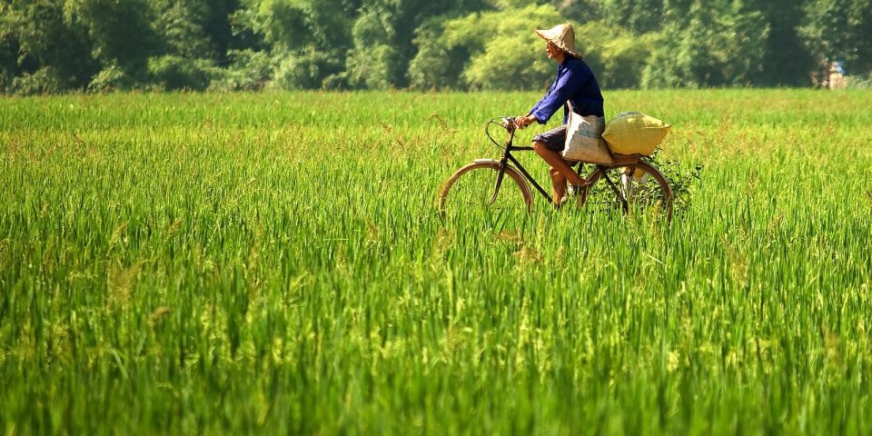 Full-Day Cycling & Handcraft Workshop in Mai Chau Valley - Key Points