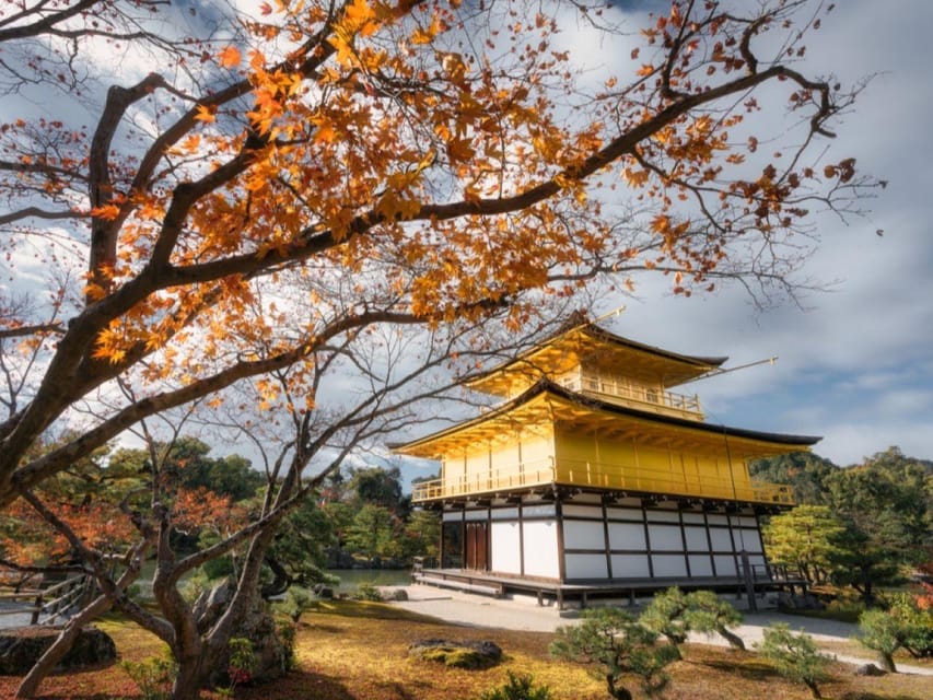 Full Day Guided Kyoto Cultural Tour - Tour Overview