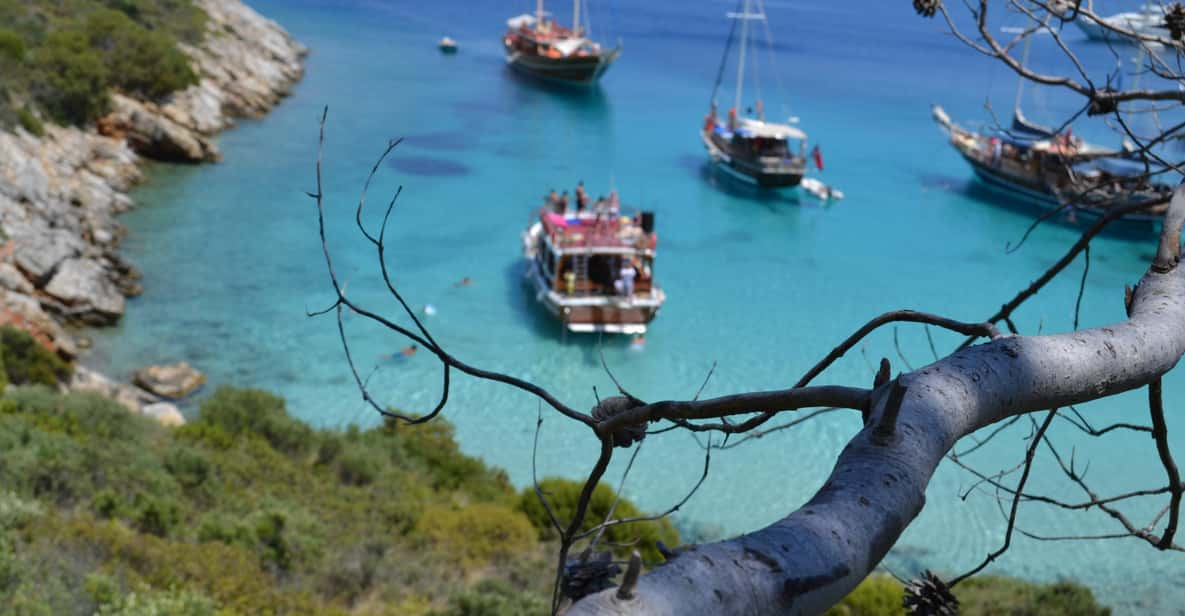 Full-Day Orak Island Boat Trip From Bodrum - Key Points