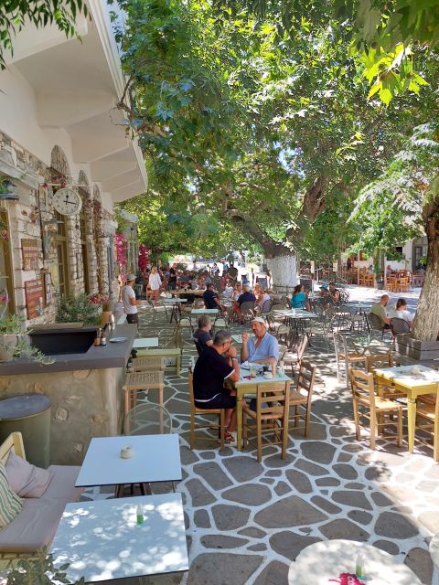 Full-Day Private Tour and Local Food in Naxos Villages - Key Points